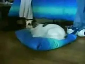 sozinha em casa porn ...